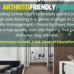 canine arthritis